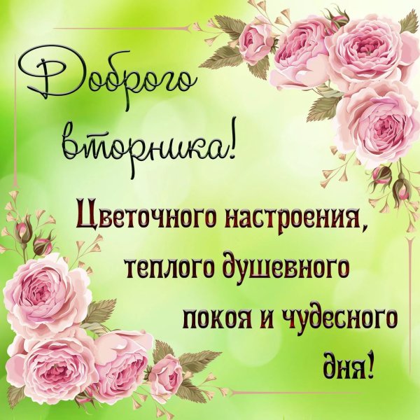 Доброе утро вторника