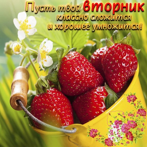 Поздравления с добрым утром вторника