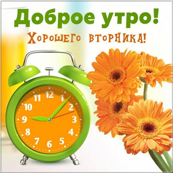 Открытки отличного вторника