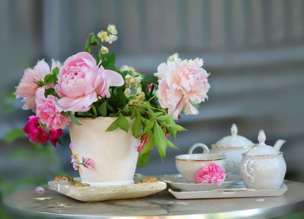 Доброе утро вторника