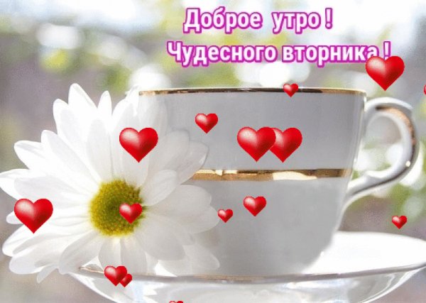 Доброе утро вторника
