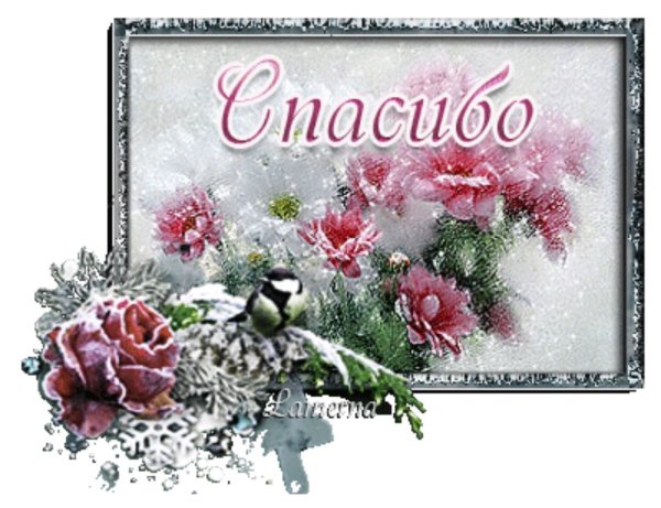 Спасибо за новогоднее поздравление