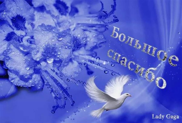 Новогоднее спасибо