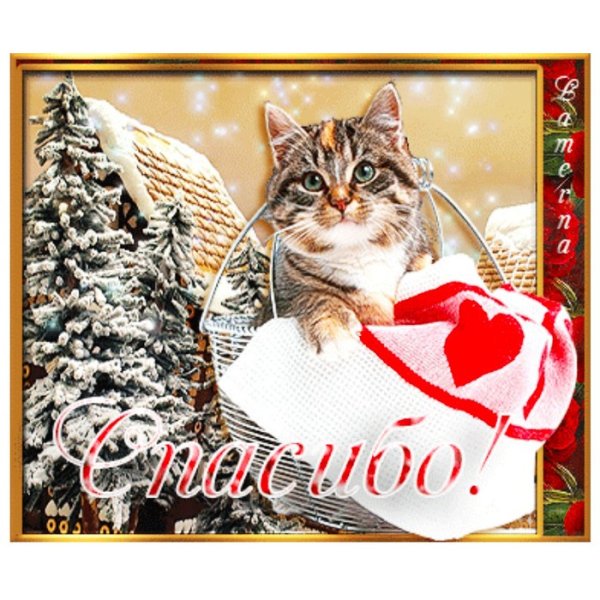 Зимнее спасибо