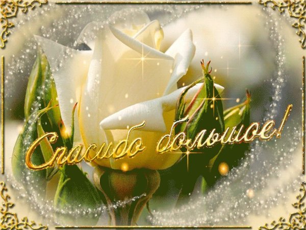 Открытки спасибо зимние