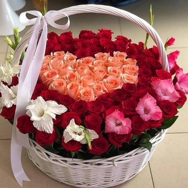 Хэерле кон открытки