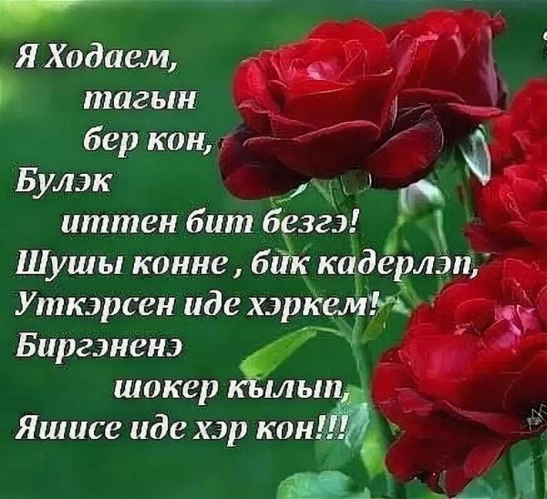 Хэерле кон на татарском