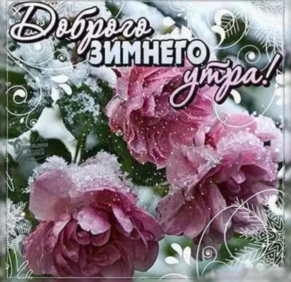 Зимний приветик и доброе утро