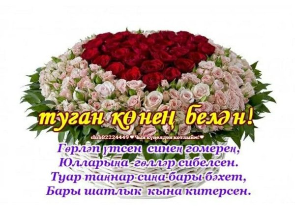 Туган кон 55