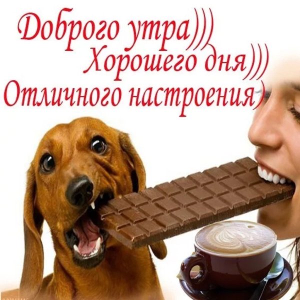 Картинки с добрым утром