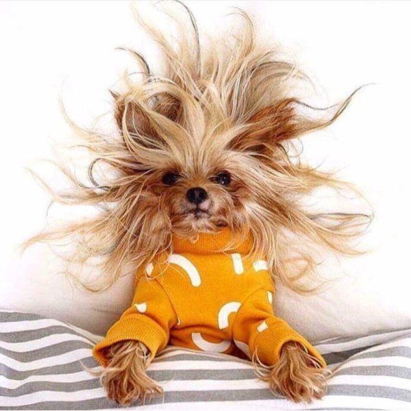 Доброго бодрого утра прикольные