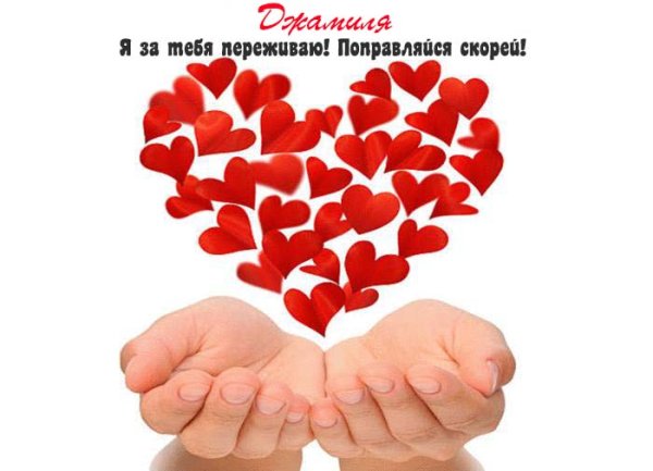 Поправляйся мишки Тедди