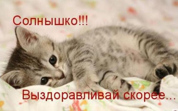 Художник Алексей Долотов Ксенопус Xenopus