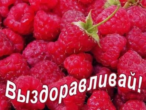 Пожелания выздоровления