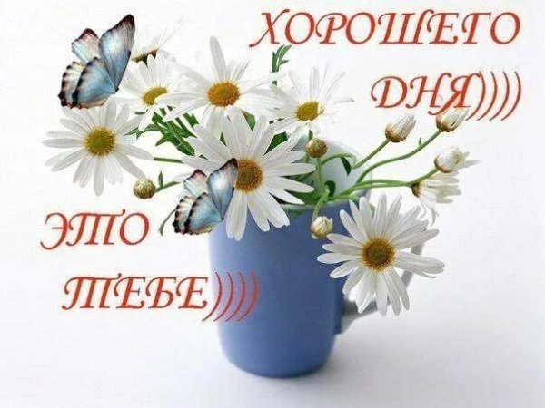 Добрый день доченька