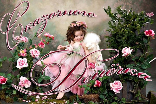 Добрый день гифки очень красивые