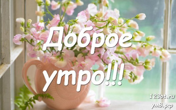 С добрым утром мама цветы