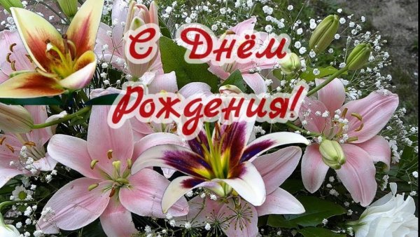 Открытки с днём рождения лилии