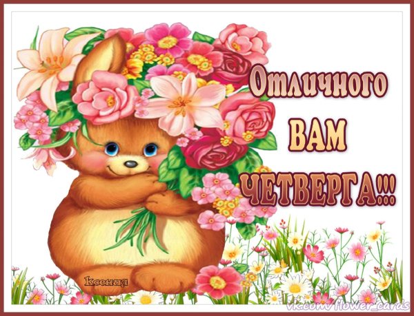 Поздравления без повода