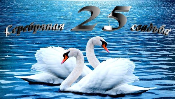 25 Лет серебряная свадьба