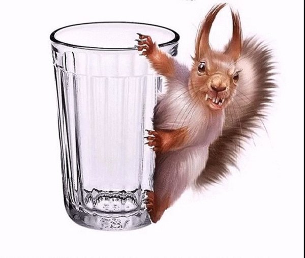 Водка белка