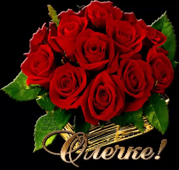 Цветы для Оли