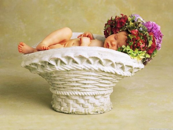 Анна Геддес малыши