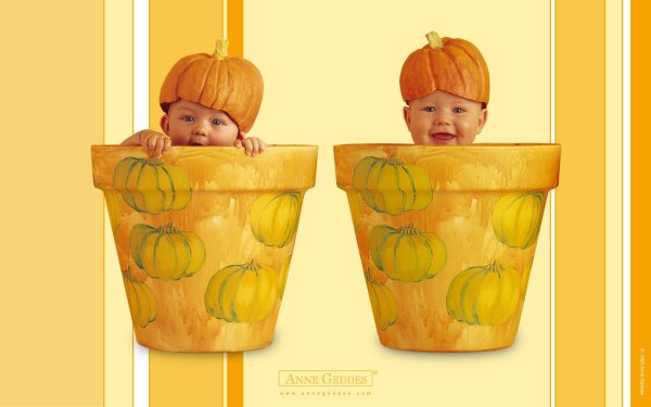 Детский фотограф Анна Геддес