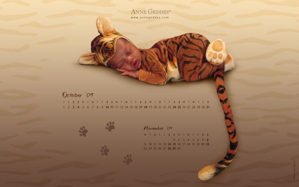 Anne Geddes обои