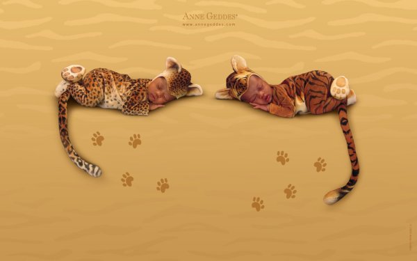 Anne Geddes леопард