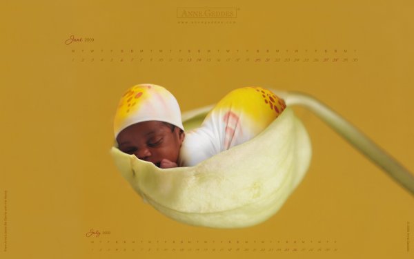 Анна Геддес девочка в ромашках