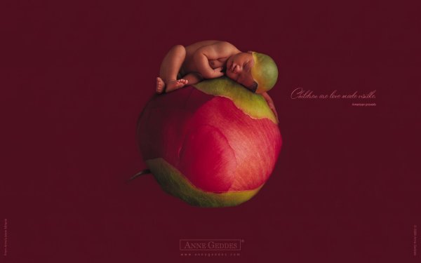 Фотограф новорожденных Анна Геддес