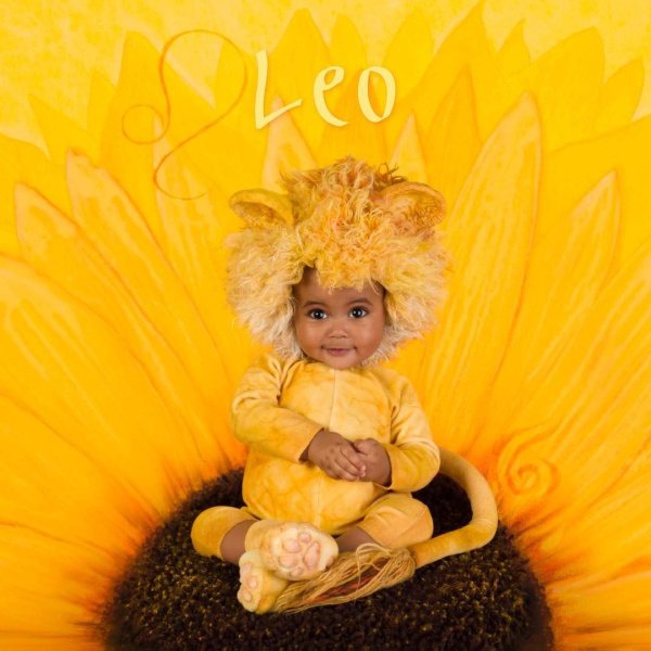 Фотограф детей Анна Геддес