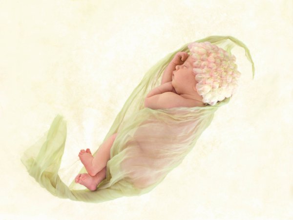 Открытки с младенцами Анны Геддес