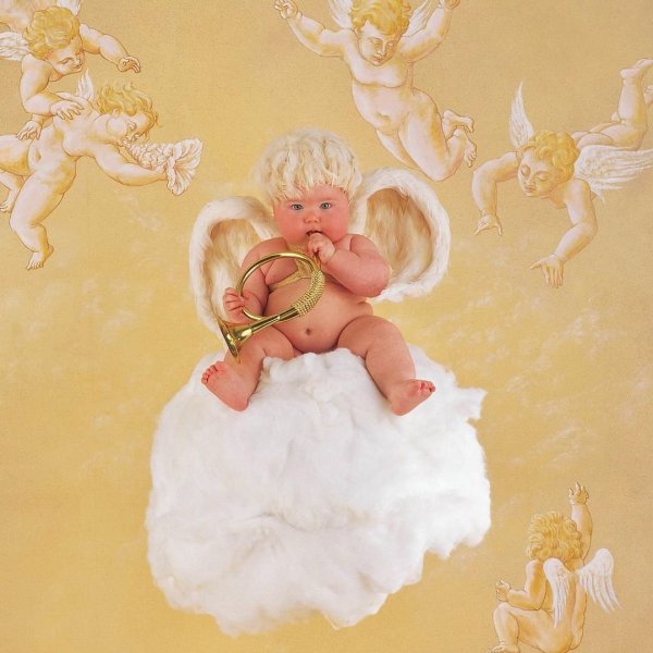 Детский фотограф Анна Геддес