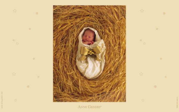 Открытки с младенцами Анны Геддес