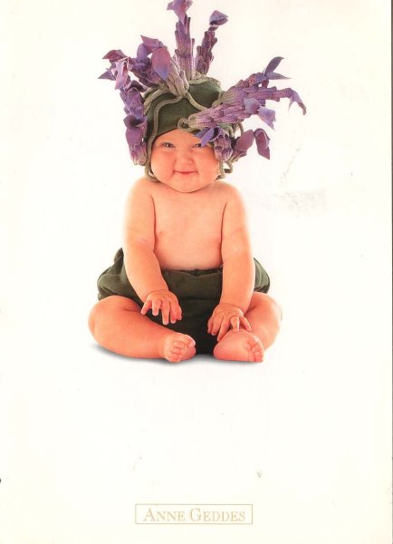 Фотограф детей Анна Геддес