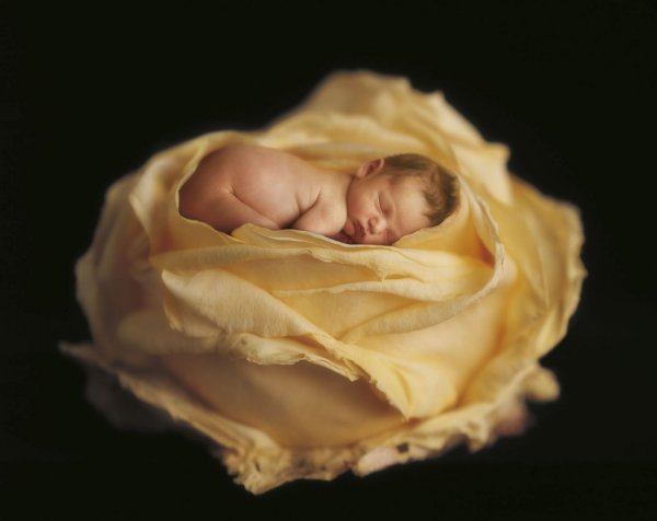 Моё маленькое счастье