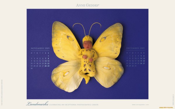 Геддес розы