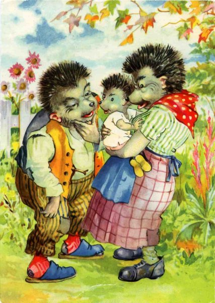 Еж Мекки ежиха