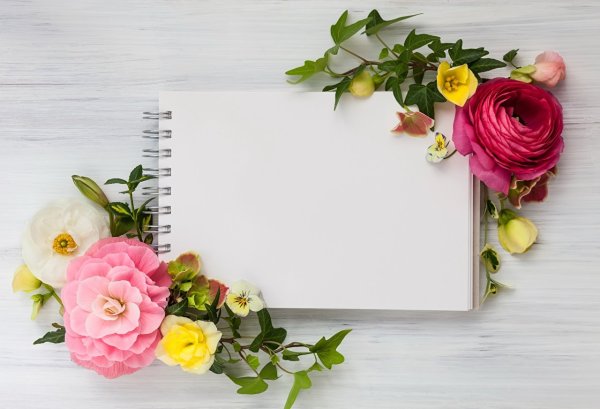 Пустая открытка для записей