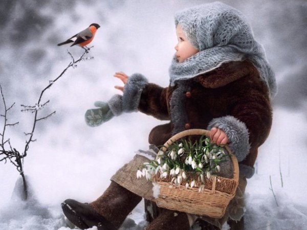 Новогодние открытки с птичками