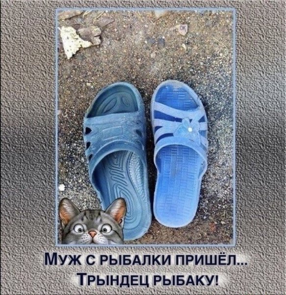 Позитив анекдоты в картинках