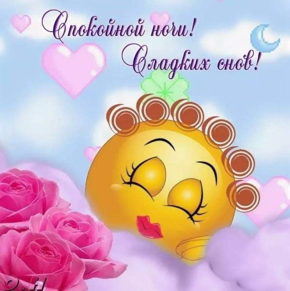 Спокойной ночи сладких снов