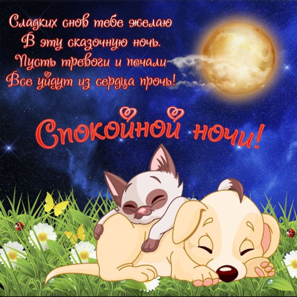 Прикольные пожелания спокойной ночи