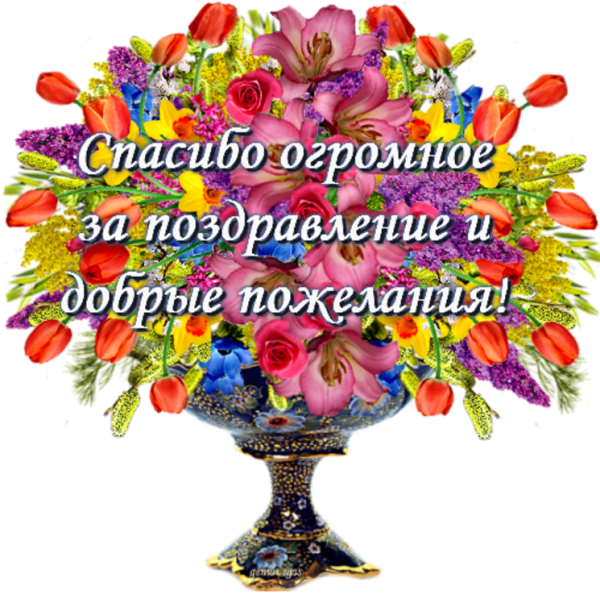 Спасибо за поздравления
