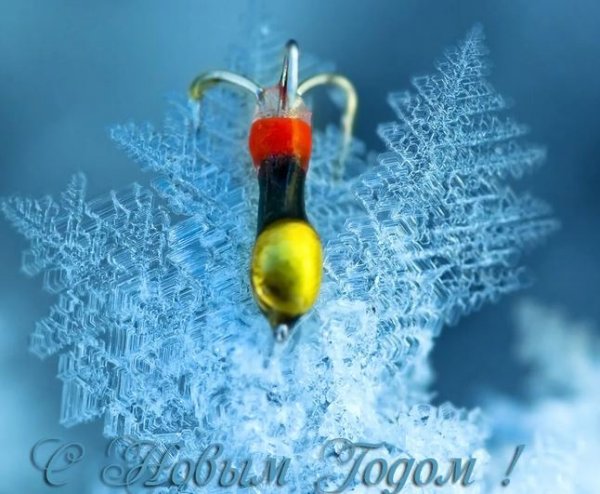 С наступающим новым годом рыбаки
