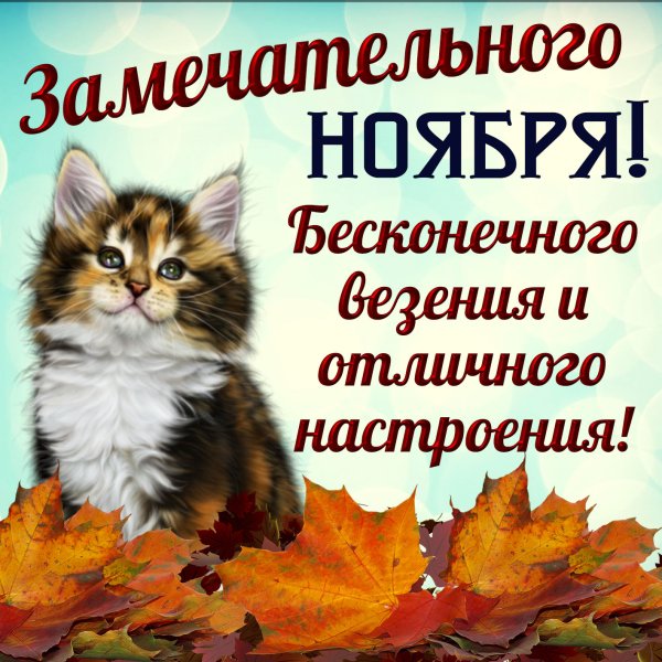 Поздравление с ноябрем открытки