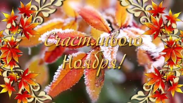 С началом ноября