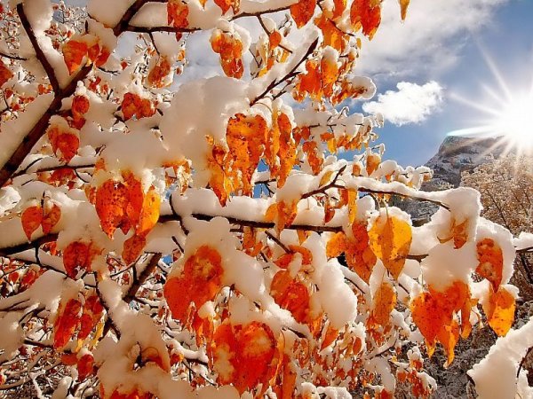 С добрымиутором ноября